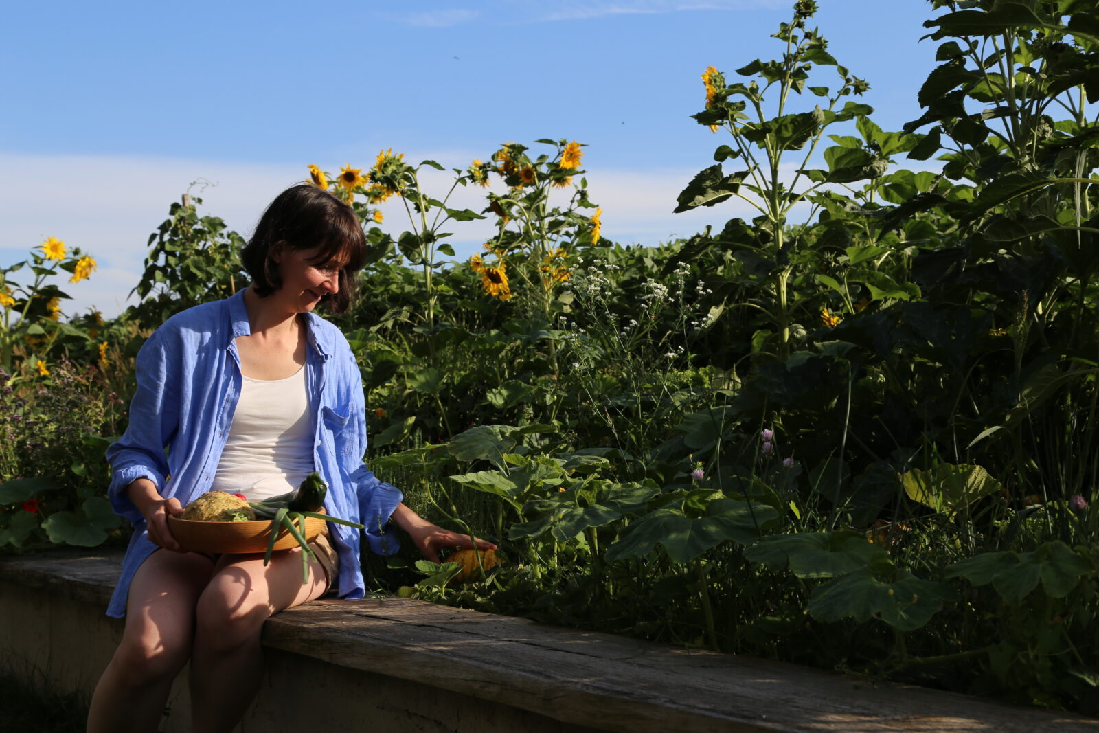 Anna Ulmer am Gemüsebeet in der Abendsonne